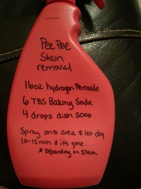 Kids pee pee stain removal - really does work! * Cleaning Pee Off Couch, Cat Pee Out Of Carpet, Pee Stains, Diy Stain Remover, Pee Pee, Homemade Cleaning Supplies, Easy Cleaning Hacks, Diy Cleaning Solution, Homemade Cleaning Solutions