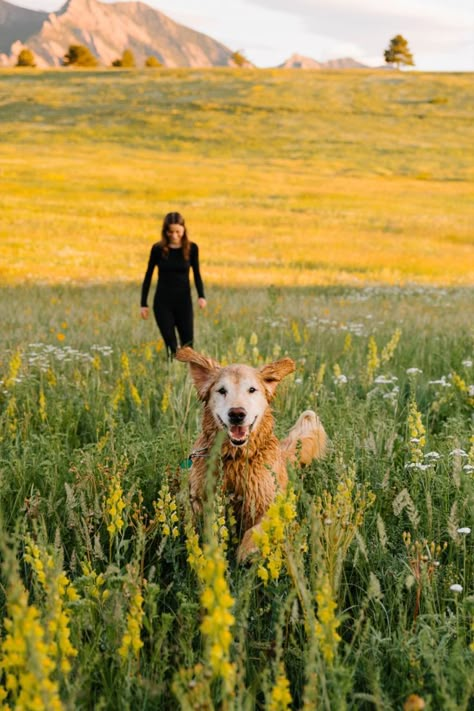 Pics With Dogs Ideas, Animal Photoshoot Ideas, Dog And Woman Photography, Working Dog Photography, Tux Photoshoot, Senior Picture With Dog, Senior Picture Ideas With Dogs, Dog And Me Photoshoot, Senior Dog Photoshoot