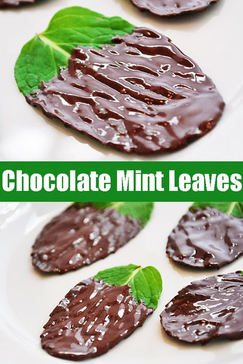 Chocolate Covered Mint Leaves, Candied Mint Leaves, Candied Sage Leaves, Fresh Spearmint Recipes, Natural Recipes Food, Recipes With Spearmint Leaves, Preserving Mint Leaves, How To Use Mint Leaves, Fresh Mint Desserts