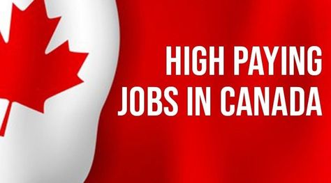 The 10 Highest Paid Online Jobs in Canada Jobs In Canada, Online Jobs For Students, Online Jobs For Teens, Best Online Jobs, Online Writing Jobs, Student Jobs, Online Jobs From Home, Jobs For Teens, High Paying Jobs