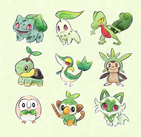 Pokemon Grass Starters, Grass Type Pokemon Art, Grass Type Starters Pokemon, Grass Starters Pokemon, Pokemon Grass Type, Grass Pokemon, Pokémon Games, Grass Type Pokemon, Business Images