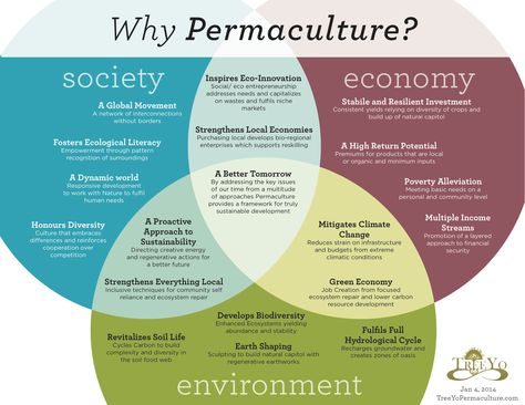 Why Permaculture                                                                                                                                                                                 More Garden City Movement, Hydrological Cycle, Permaculture Design Course, Arcology, Permaculture Gardening, Permaculture Design, Aquaponics System, Venn Diagram, Food Forest