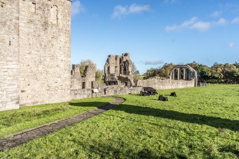 Trim Ireland, Meath Ireland, Images Of Ireland, St John The Baptist, Castles In Ireland, St Peter, John The Baptist, Golf Resort, Historic Buildings