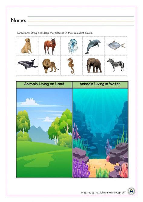 Animals interactive worksheet for Pre-school. You can do the exercises online or download the worksheet as pdf. Land And Water Animals Worksheet, Land Animals Worksheet, Animals Live In Water, Animals Worksheet, Animal Habitat, Animal Body Parts, Land Animals, Animal Adaptations, Animal Worksheets