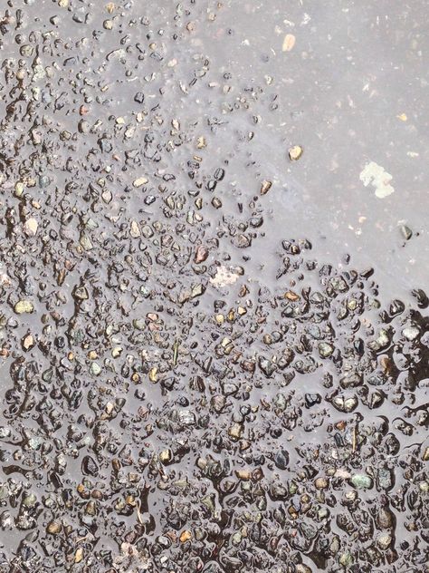 Wet Concrete Wet Concrete, After Rain, Concrete Texture, How To Dry Basil, City Photo, Lavender, Herbs, Lily, Texture