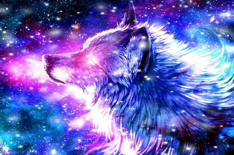 Galaxy Wolf Galaxy Drawing, Drawing Wolf, Fun Paintings, Dreams Wallpaper, Cute Monkey Pictures, Galaxy Drawings, Chrome Theme, Galaxy Wolf, Wolf Background