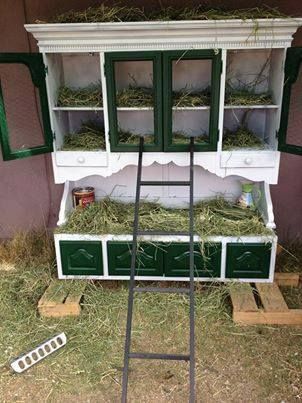 cool coop! Chicken Roost, Urban Chicken Farming, Chicken Coop Decor, Cute Chicken Coops, Chicken Nesting Boxes, Urban Chickens, Nesting Box, Chicken Garden, Building A Chicken Coop