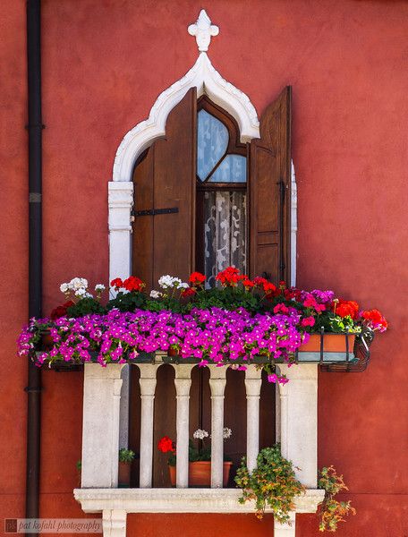 Pat Kofahl Photography Classical Villa, Venice Photos, Balcony Flowers, Regions Of Italy, Window Boxes, Old Building, Window Box, Venice Italy, Flowers Nature