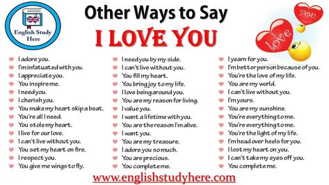 Other Ways to Say I LOVE YOU I adore you. You are all I want. I’m infatuated with you. You Idiom Examples, Grammar Quotes, Examples Of Adjectives, Jerry Rice, Other Ways To Say, Descriptive Words, Happy Thanksgiving Quotes, English Idioms, Thanksgiving Quotes