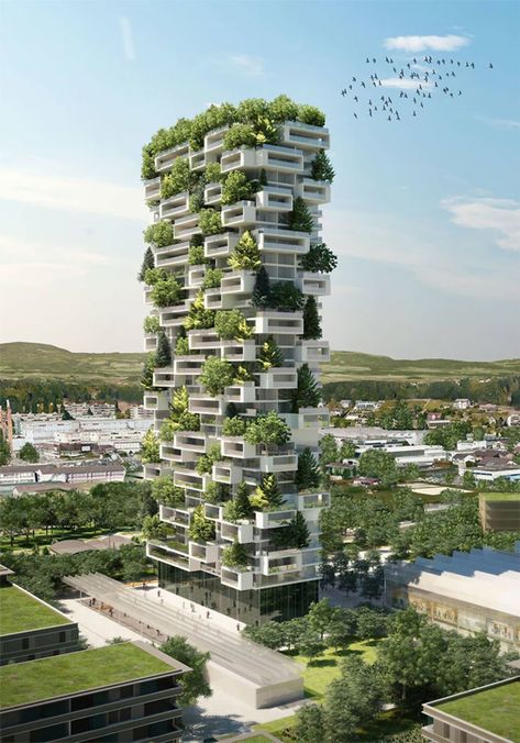 From Singapore to Switzerland, firms have introduced more greenery to provide shade, improve air quality, and reduce reliance on air-conditioning | archdigest.com Green Building Architecture, Stefano Boeri, Vertical Forest, Green Tower, Architecture Cool, Eco City, Unusual Buildings, Plants Growing, Green Architecture