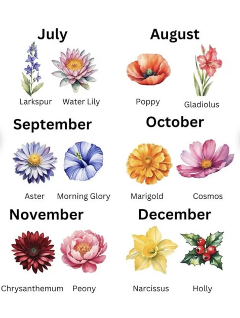 July Flower Tattoo Birth Month, Birth Flowers By Month, Flower Of Month, Wanted Tattoo, Flowers Language, Flower List, Birthday Month Flowers, October Birth Flowers, September Birth Flower