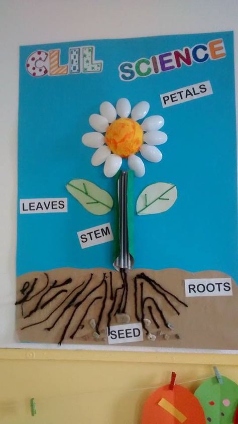 Parts Of A Plant Craft Kindergarten, Parts Of Plants Activities For Kids, Parts Of A Plant Craft, Diagram Of A Flower, Third Grade Science Lessons, Kindergarten Subtraction Activities, Flower Crafts Preschool, Diy Science Projects, Craft Activities For Toddlers