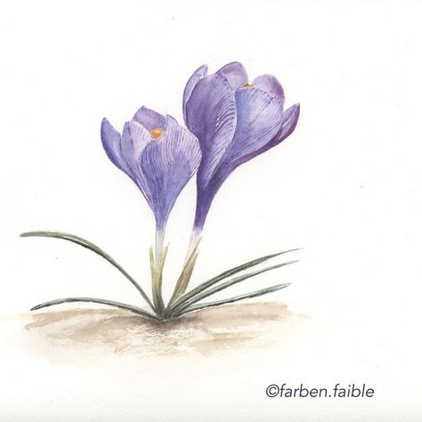 Watercolor Crocus, March Aesthetic, Spring Picture, Waiting For Spring, Crocus Flower, Spring Pictures, Watercolor Pictures, Floral Drawing, Watercolor Inspiration