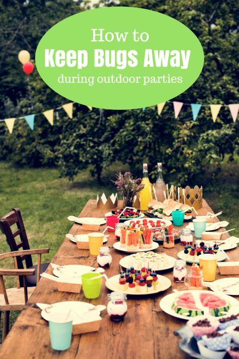 Nothing ends a party faster than a bunch of pesky mosquitoes or flies.Grab these tips on how to keep bugs away outside so that your summer party goes off without a hitch! #wilkilpestcontrol #ad How To Keep Flies Off Food Outside, How To Cover Food For Outside Party, Outside Birthday Parties, Outdoor Buffet, 13 Birthday, Holiday Party Foods, How To Cook Mushrooms, Summer Backyard, Summer Birthday Party