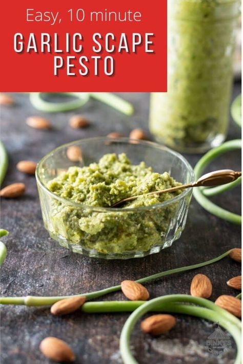 Scape Pesto Recipe, Scape Pesto, Garlic Scape Pesto, Pesto Sauce Recipe, Make Garlic Bread, Broccoli Pesto, Arugula Pesto, Garlic Scapes, Vegan Parmesan Cheese