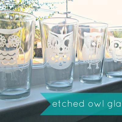 Owl Etched Glasses {Kitchen Accessories} Etching On Glass, Owl Glasses, Etching Ideas, Surprise Ideas, Etching Cream, Owl Kitchen, Silhouette Cameo Projects, Cameo Projects, Silhouette Crafts