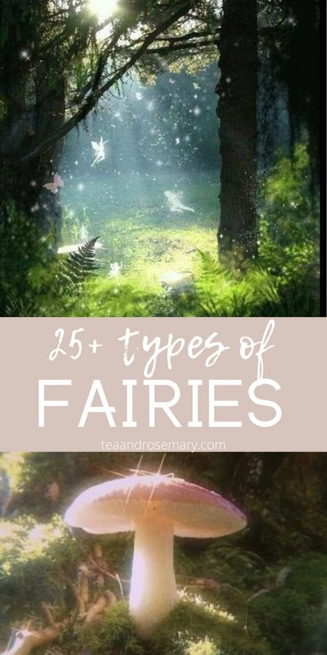 25+ different types of fae and fairy. If you want to learn about the different types of fairies, fairy, faeries, faery, and fae folk, then check these types out. Different Kinds Of Fairies, Witches And Fairies, Different Fairy Types, Black Fairy Aesthetic Art, Fae Symbols, Types Of Fae Creatures, Types Of Fairies List, Fairy Language, Fairy Offerings