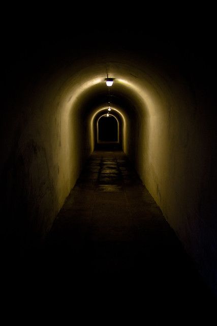 Creepy Tunnel, Scary Tunnel, Gif Terror, Dark Hallway, His Dark Materials, East Yorkshire, Story Elements, Dark Places, Dark Photography