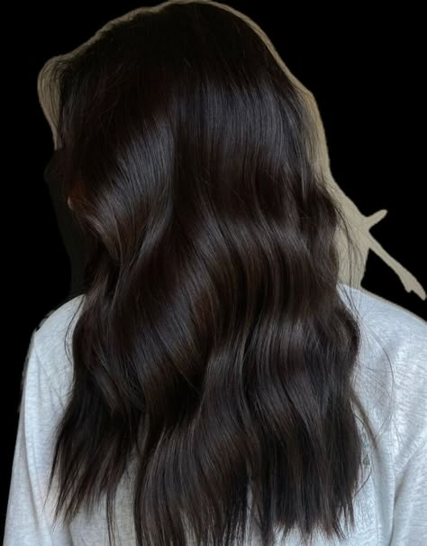 Espresso Hair Balayage, Chocolate Black Hair, Dark Brown Hair Almost Black, Espresso Brunette Hair, Dark Hair With Subtle Highlights, Really Dark Brown Hair, Dark Hair With Red Undertones, Dimensional Dark Brunette, Super Dark Brown Hair