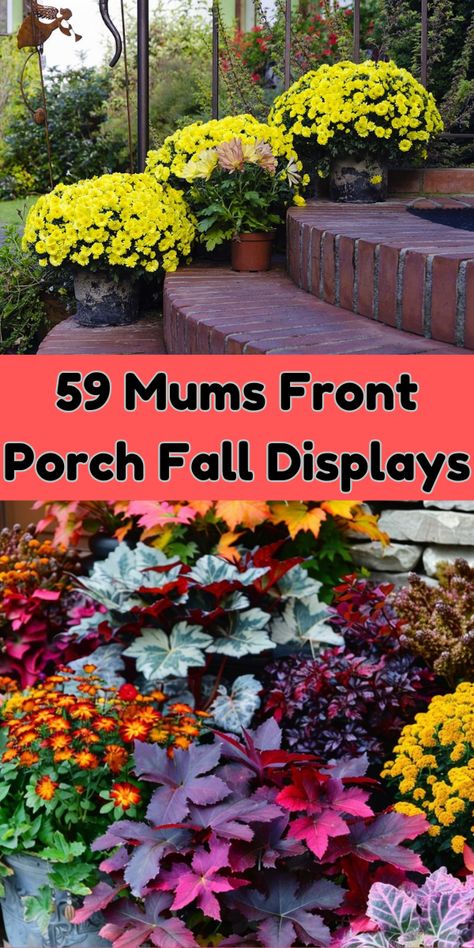 Add timeless appeal to your home with rustic mums front porch fall displays. From wood accents to natural textures, these ideas will create a warm and welcoming entryway. #RusticFallDecor #TimelessDesign #MumsInspo Mum Decor Front Porches, Mums Flowers Front Porch, Fall Mums Display, Mums Front Porch Fall Displays, Mums Front Porch, Fall Displays, Mums In Pumpkins, Front Stairs, Welcoming Entryway