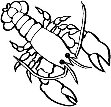 Lobster Coloring Page | Coloring Page Lobster Drawing, Ocean Coloring Pages, Hallowen Ideas, Rainbow Canvas, Ocean Animals, Free Printable Coloring, Animal Coloring Pages, Free Printable Coloring Pages, Free Clip Art