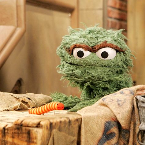 Sesame Street, Green