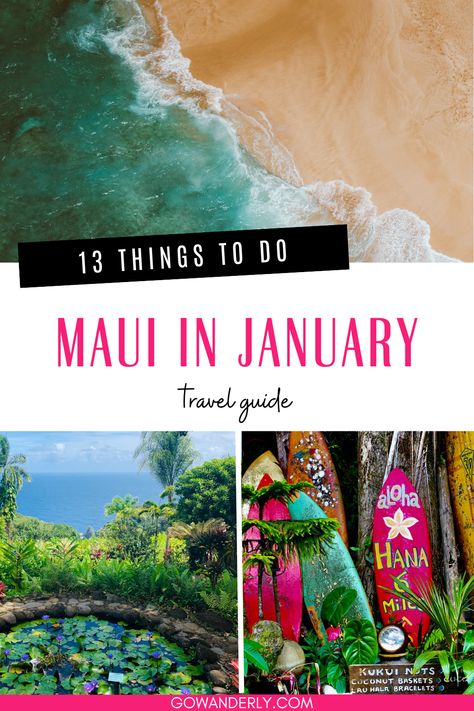 Find out the best activities and attractions in Maui this January with our comprehensive guide. Hikes In Maui, Best Beaches In Maui, Maui Honeymoon, Maui Snorkeling, 10 Day Itinerary, Things To Do In Maui, Maui Itinerary, Kaanapali Beach, Trip To Maui