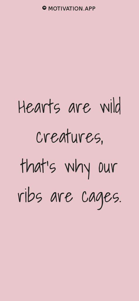 Hearts are wild creatures, that's why our ribs are cages. From the Motivation app: https://motivation.app Heart Rib Cage Tattoo, Wild Hearts Quotes, Zoo Tattoo, Ribcage With Heart Inside, Hearts Are Wild Creatures Thats Why Our Ribs Are Cages, Hearts Are Wild Creatures, Hearts Are Wild Creatures Quote, Autumn Tattoo, Motivation App