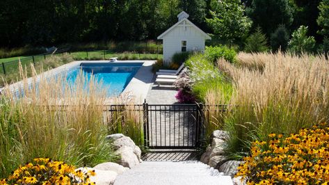 Minnesota Landscape, Native Plant Landscape, Low Water Landscaping, Xeriscape Landscaping, Native Landscaping, Landscaping Low Maintenance, Minnesota Landscaping, Residential Landscaping, River Rock Landscaping