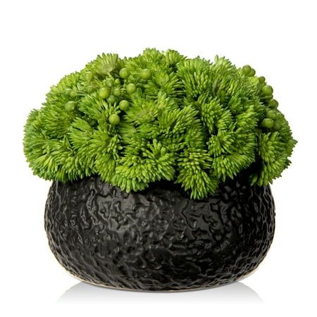 Artificial Potted Succulent Arrangement Display it in any place of your place to add artistic appeal to your room, Placed in a modern black ceramic bowl,the realistie faux succulent arrangement makes a stunning addition to any table, shelf, or counter space. Plant Type:Succulents Color:green and black pot Material:plastic,Ceramic Product Dimensions:6.7"W x 6.3"H Succulents Plants Artificial in Ceramic Pots Fake Succulent Arrangement with Black Bowl Planter Large Faux Succulent Plants for Home Ba Bowl Planter, Fun Products, Fake Succulents, Succulents Plants, Black Bowl, Shelf Desk, Plants Succulents, Artificial Greenery, Table Shelf