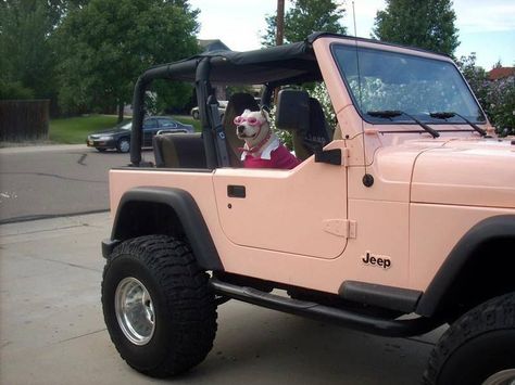 pastel colored jeep Auto Jeep, Jeep Wrangler For Sale, Pink Jeep, Wrangler Jeep, Future Cars, Dream Cars Jeep, Car Goals, Jeep Lover, Jeep Girl