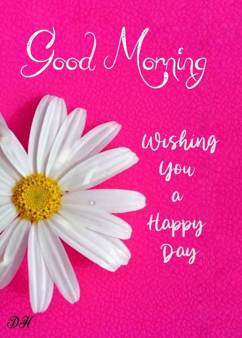 Good Morning Sunshine Quotes Funny, Good Morning Handsome Quotes, Good Morning People, Morning Pic, Happy Day Quotes, Good Morning Tuesday, Wonderful Wednesday, Good Morning Flowers Quotes, Morning People