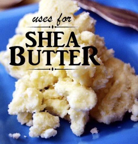 16 Creative Uses For Shea Butter...http://homestead-and-survival.com/16-creative-uses-for-shea-butter/ Vaseline Lip Balm, Shea Butter Recipes, Organic Deodorant, Eyeshadow Colors, Homemade Moisturizer, Pretty Photography, Vaseline Lip, Diy Lotion, Homemade Lotion