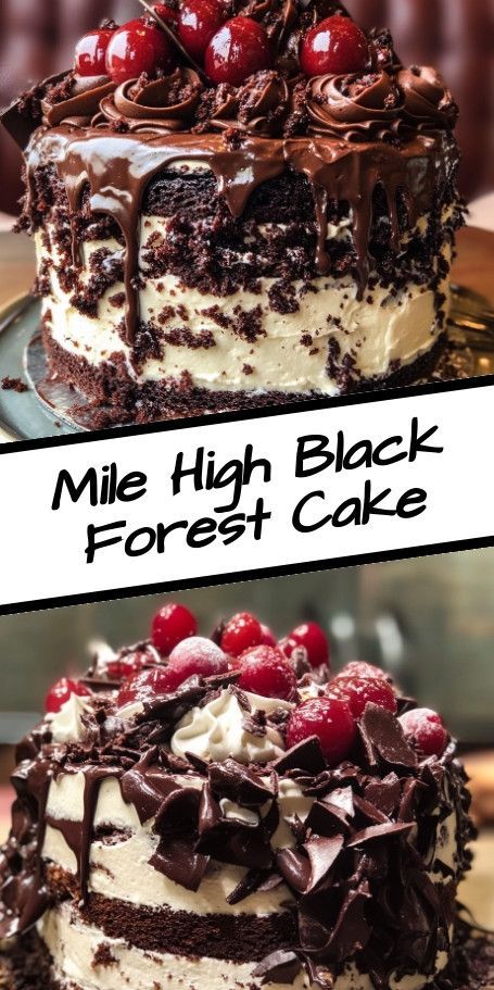 Mile High Black Forest Cake Recipe | Indulge in Rich Chocolate & Cherry Layers Discover how to create a Mile High Black Forest Cake, featuring layers of rich chocolate, fluffy whipped cream, and sweet cherries. Perfect for fall celebrations and special occasions, this classic European dessert offers comforting flavors that enchant chocolate lovers. ..... Authentic German Black Forest Cake Recipe, Black Forest Mousse Cake, Black Forest Layer Cake, Mini Black Forest Cake Recipe, Cherry Cordial Cake, German Black Forest Cake, Enchanted Forest Cake, Cloud Frosting, Black Forest Cake Recipe