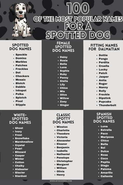 100 of the most popular names for a spotted dog	Top 100 Names for Your Spotted Dog Dogs With Spots, Dog Name List, Dog Names Female, Creative Dog Names, Unique Dog Names, Male Dog Names, Top 100 Names, Funny Dog Names, Cute Animal Names