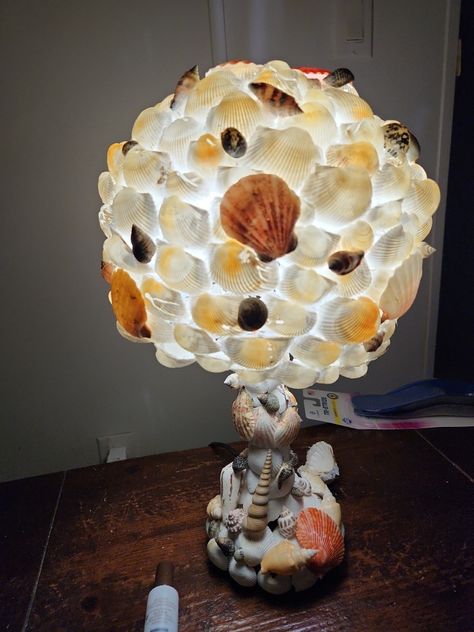 Diy Sea Shell Crafts, Shell Lamp, Seashell Crafts, Shell Crafts, Sea Shell, Sea Shells, Shells