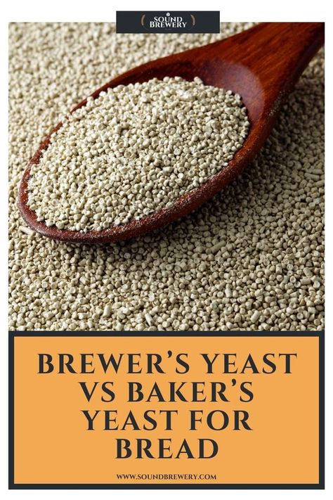 When it comes to brewing up a delectable beer, you might tend to believe that yeast is king and that you should only stick to what the recipe tells you. | Brewer’s Yeast vs Baker’s Yeast For Bread | Different Kinds of Brewer’s Yeast | Is Brewers yeast the same as baker's yeast? | Can I substitute brewers yeast for active dry yeast? | What Is the Difference Between Brewer's Yeast & Baker's Yeast? | #BrewersYeast #HomebrewingYeast #BeerYeast #SoundBrewery Yeast For Bread, Bakers Yeast, No Yeast Bread, Active Dry Yeast, Brewers Yeast, Yeast Bread, What Is The Difference Between, Different Kinds, Dry Yeast