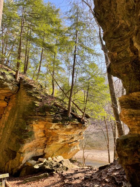 Turkey Run State Park Indiana, Indiana Core, Indiana Aesthetic, Indiana Summer, Turkey Run State Park, Turkey Run, Summer Moodboard, Midwest Emo, Vision Board Pictures