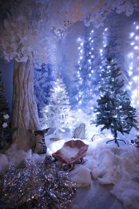 Christmas Grotto Ideas, Winter Wonderland Decorations, Christmas Photo Booth, Christmas Window Display, Garland Diy, Christmas Shoot, Winter Wonderland Party, Winter Wonderland Christmas, Christmas Parade