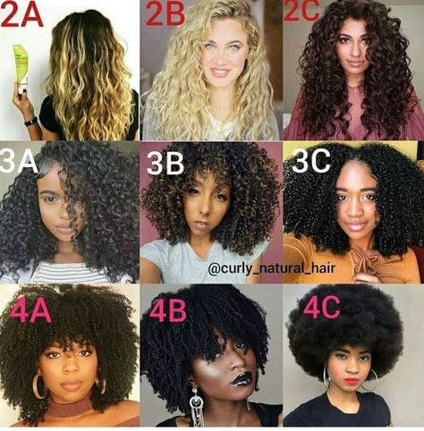 Natural Hair Guide (Beginner Friendly) - "What's your hair type?" - Wattpad 2 A Hair Type, 2c Natural Hair, How To Find Your Hair Type, Types Of Black Hair, Hairstyles For 3c Natural Hair, Types Of Curly Hair, Hair Type Chart, Afro Curly Hair, Cantu Hair Products