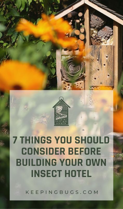 Building your own insect hotel Insect Hotel Ideas, How To Build A Bug Hotel, Make A Bug Hotel, Insect Friendly Garden, Bug Garden Ideas, Insect Hotels Diy, Insect House Diy Bug Hotel, How To Make A Bug Hotel, Insect Hotel Diy How To Build