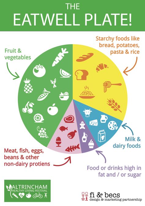 Eatwell eat-well plate poster! Healthy eating chart for kids - designed by Fi & Becs Design & Marketing Partnership for the Altrincham Healthy Living Festival www.fiandbecs.com The Eatwell Plate, Healthy Eating Posters, Balanced Diet Chart, Healthy Kidneys, Healthy Plate, Starchy Foods, Diet Chart, Food Charts, No Dairy Recipes