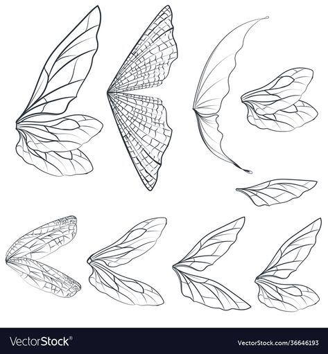 Fairy Wings Drawing, Fairy Wing Tattoos, Wings Illustration, Wings Sketch, Pixie Wings, Fairy Drawings, Wings Drawing, Wings Tattoo, Wings Design