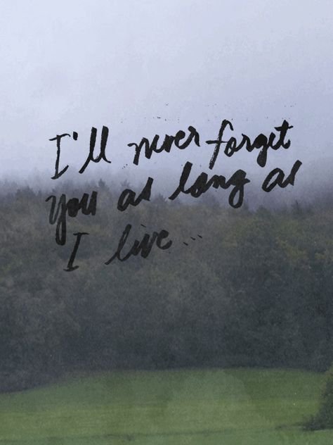 You always knew how to push my buttons / you gave me everything and nothing I wish you would - Taylor Swift Ill Never Forget You, Taylor Songs, I Wish You Would, Taylor Lyrics, Story Quotes, Never Forget You, Everything And Nothing, Taylor Swift Songs, Taylor Swift Lyrics