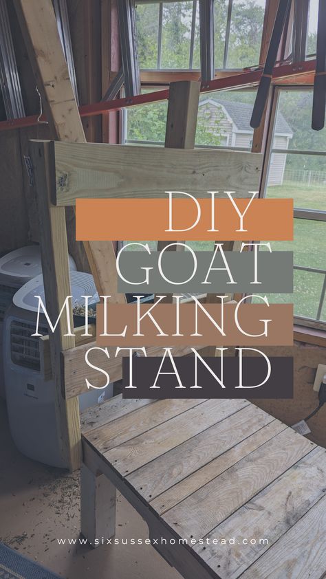 Photo of DIY goat milking stand made from a pallet How To Build A Goat Milking Stand, Goat Milking Station, Goat Milk Stand, Goat Supplies, Goat Milking Stand, Goat Shed, Goat Shelter, Homestead Animals, Goat Milking