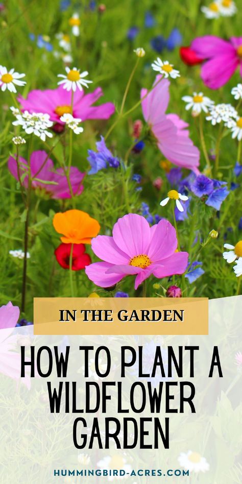 Transform your outdoor space with a lush wildflower garden! Learn how to choose the right seeds and prepare your soil for a thriving garden. Planting Wildflower Seeds In Fall, Planting A Wildflower Garden, How To Grow A Wildflower Garden, Wild Flower Seeds Planting, How To Start A Wildflower Garden, How To Plant Wildflowers, How To Grow Wildflowers From Seed, How To Grow Wildflowers, Diy Wildflower Garden