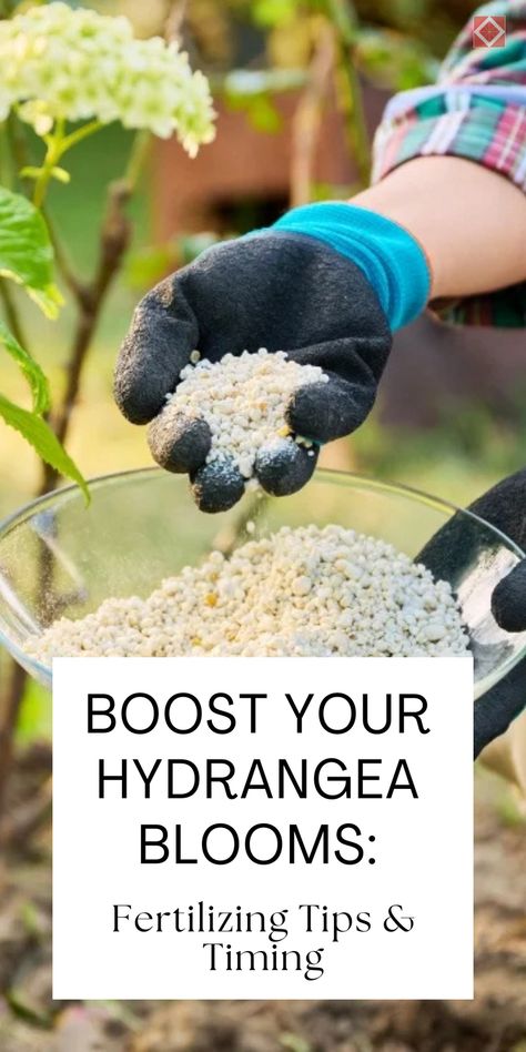 Perfect your hydrangea blooms with the right fertilizing techniques. Learn how and when to fertilize hydrangeas for the best results and enjoy vibrant, healthy flowers. Save this pin for expert hydrangea care and landscaping advice! Baking Soda For Hydrangeas, Hydrangea Fertilizer, Antique Hydrangea, French Hydrangea, Red Oak Tree, Big Leaf Hydrangea, Types Of Hydrangeas, Smooth Hydrangea, Endless Summer Hydrangea