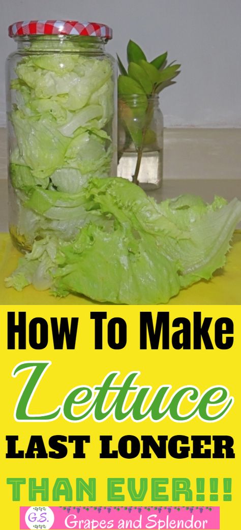 How To Prep Lettuce How To Store, How To Save Lettuce In Fridge, Storing Iceberg Lettuce In Fridge, How To Save Lettuce, How To Crisp Lettuce, How To Keep Bagged Lettuce Fresh Longer, How To Store Iceberg Lettuce, How To Preserve Lettuce In The Fridge, Best Way To Keep Lettuce Fresh