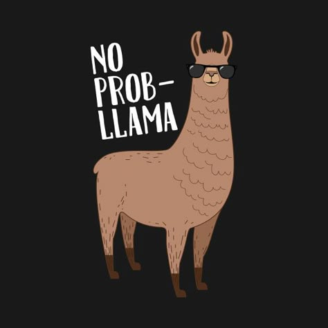 No Drama Lama, No Drama Llama, Llama Llama, Llama Birthday, Funny Llama, Drama Llama, Llama Drama, Cute Llama, Llama Alpaca