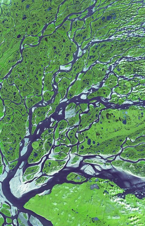 Satellite Pictures, River Delta, Satellite Image, Earth From Space, Foto Art, Aerial Photo, Birds Eye View, Aerial Photography, Patterns In Nature